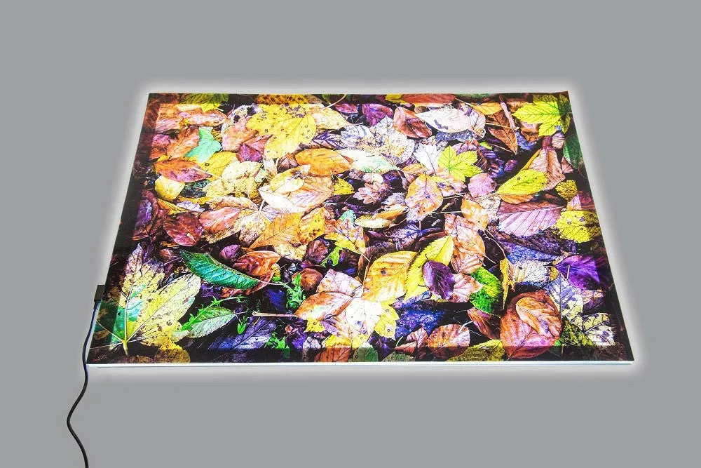 A2 Light Panel   Autumn Leaves Play Mat 73578P (Direct Shipping)