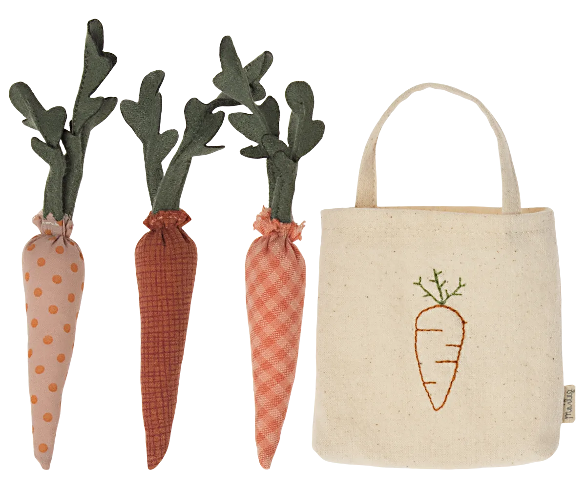 Carrots in Shopping Bag