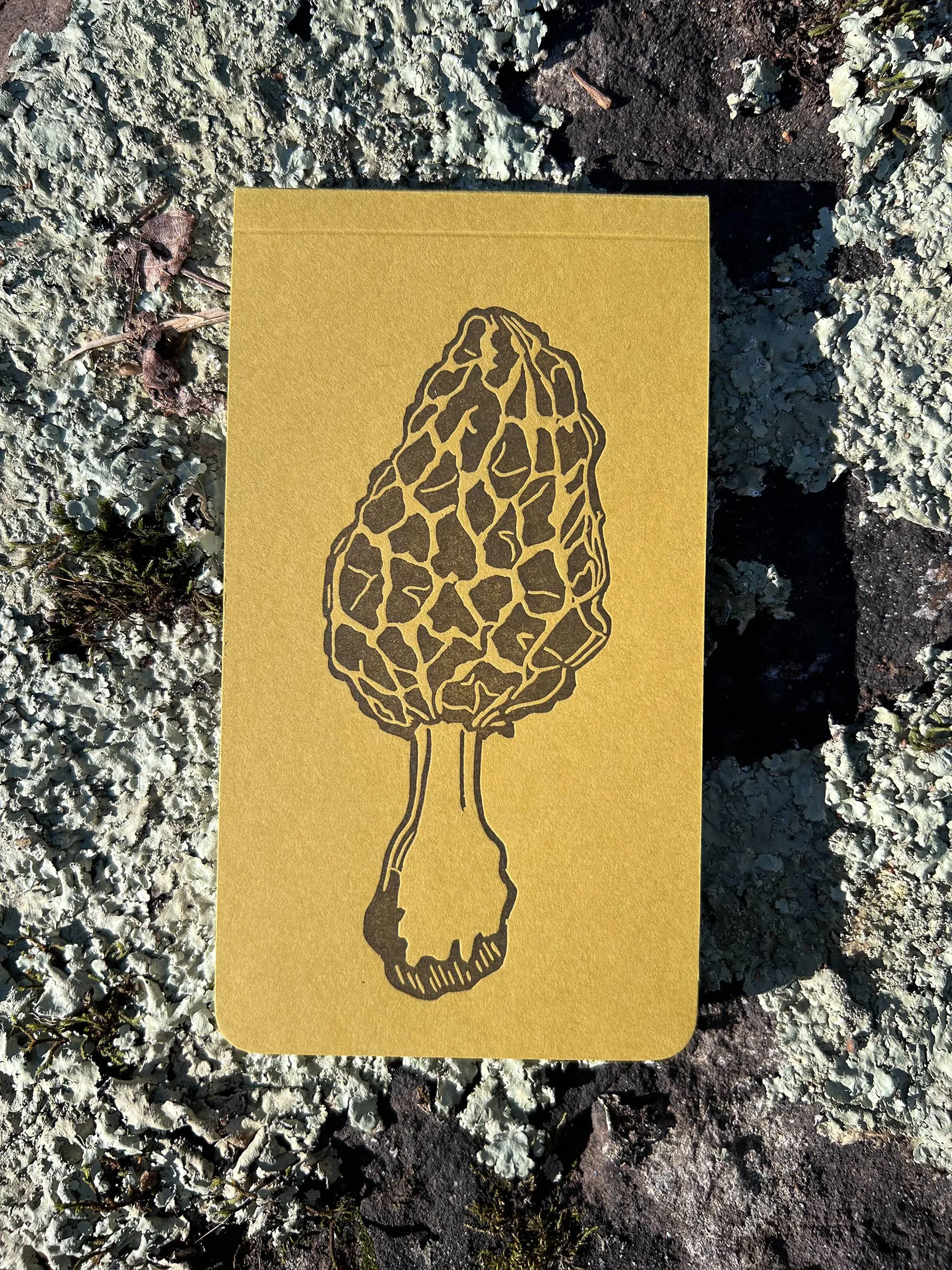 Morel mushroom jotter